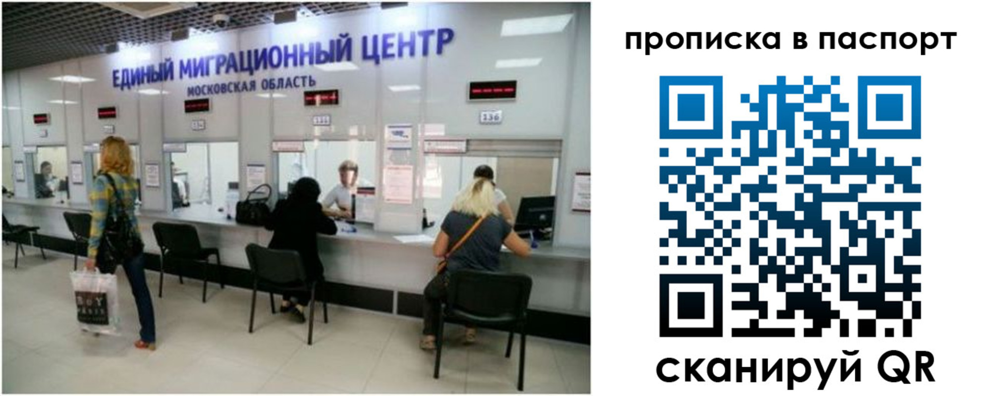 прописка в Белой Холунице